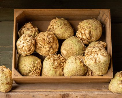 Celeriac