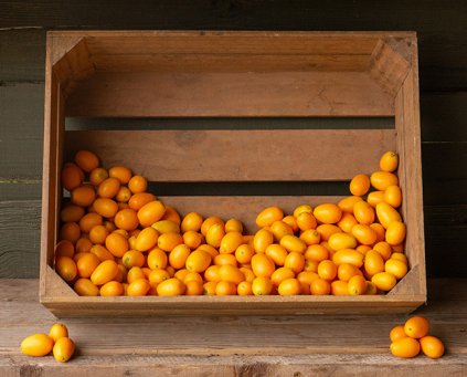 Kumquat