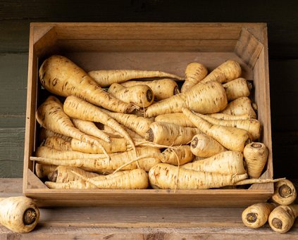 Parsnips