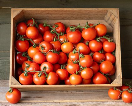 Tomatoes - Vine