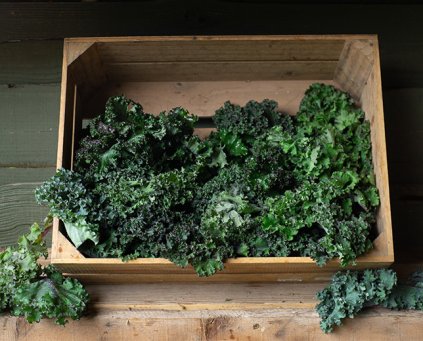 Kale - Green Curly